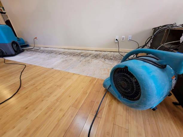 Professional Flood Damage Cleanup technician working in Kannapolis, NC